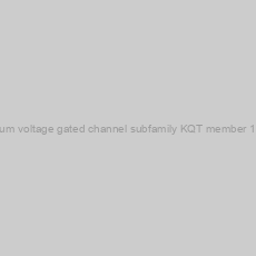 Image of Guinea pig Potassium voltage gated channel subfamily KQT member 1(KCNQ1) ELISA kit
